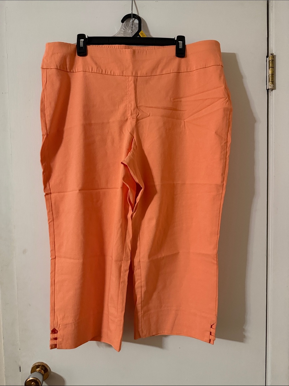 Ruby Rd. Coral Cropped Pull-On Pants